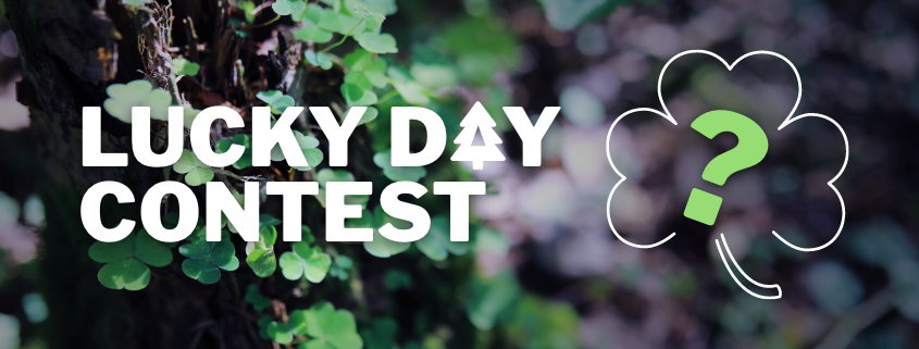 Lucky Day Contest